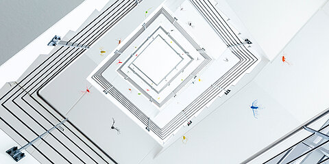 : Staircase with art installation in the form of colorful birds